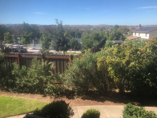 a view of a lake with a mountain in the background
