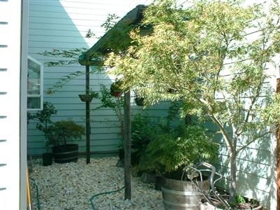 1002 Raccoon Lane Santa Rosa, CA 95401 - Photo 4 of 8 Gallery Image 4
