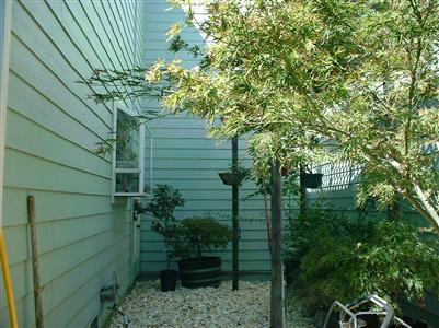 1002 Raccoon Lane Santa Rosa, CA 95401 - Photo 5 of 8 Gallery Image 5