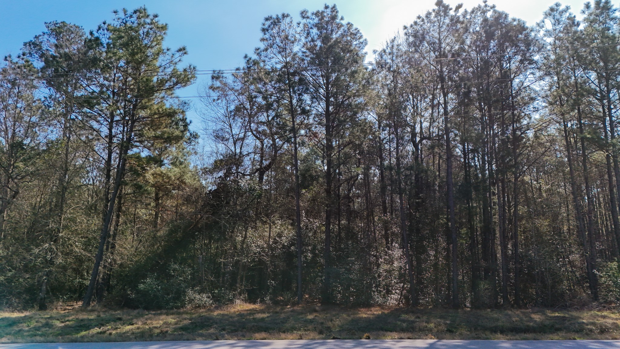 5-23-14 Rim Rock Road Huntsville, TX 77340 - Photo 12 of 45 The perfect canvas for your dream home, surrounded by nature and offering a peaceful retreat.