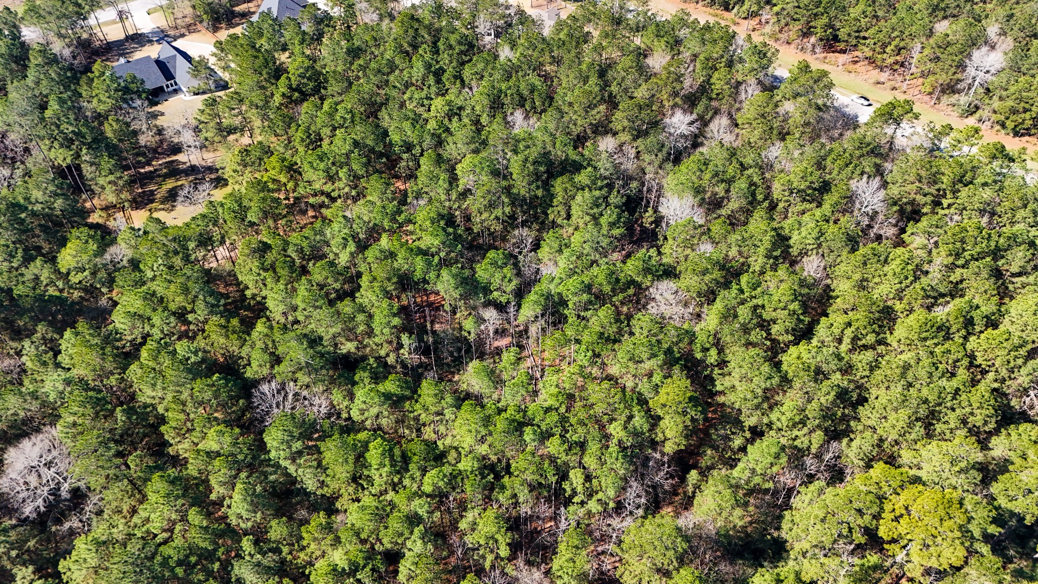 5-23-14 Rim Rock Road Huntsville, TX 77340 - Photo 14 of 45 Explore the potential of this expansive lot, offering ample space for your dream home and outdoor activities.