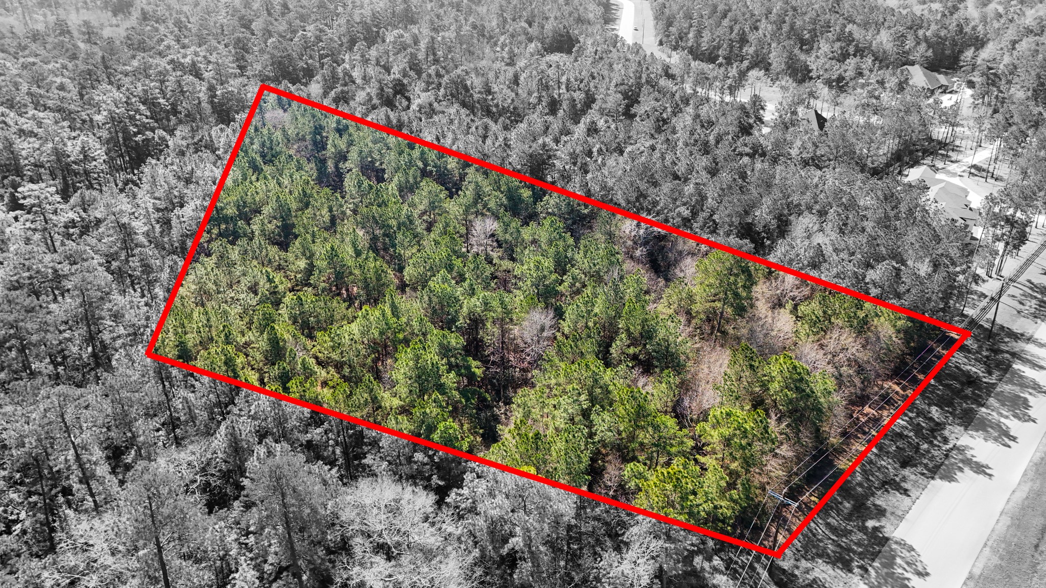 5-23-14 Rim Rock Road Huntsville, TX 77340 - Photo 18 of 45 The perfect canvas for your dream home, surrounded by nature and offering a peaceful retreat.