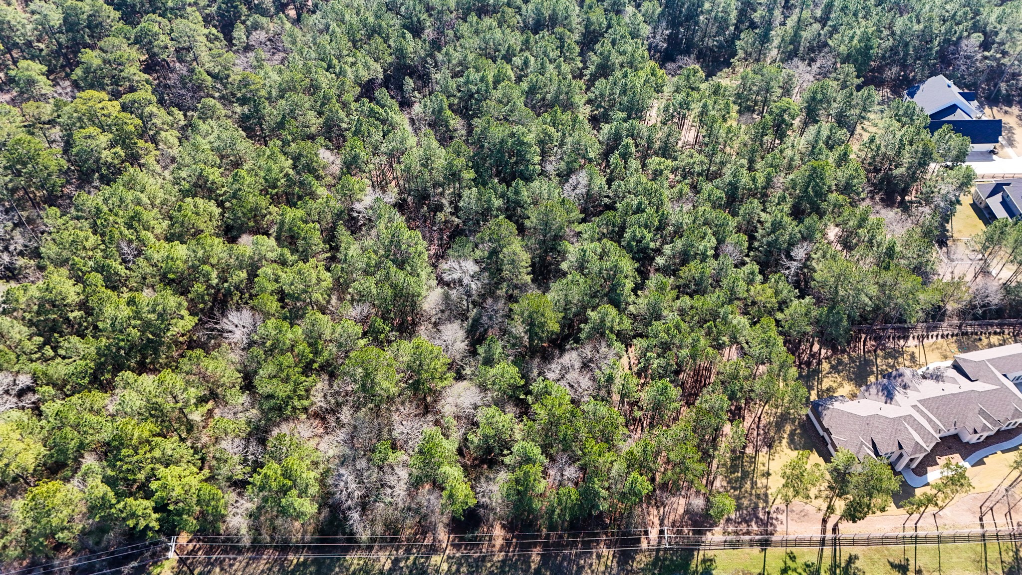 5-23-14 Rim Rock Road Huntsville, TX 77340 - Photo 20 of 45 Expansive 3.73-acre wooded lot in Texas Grand Ranch, backing up to Huntsville State Park—your perfect retreat in nature!