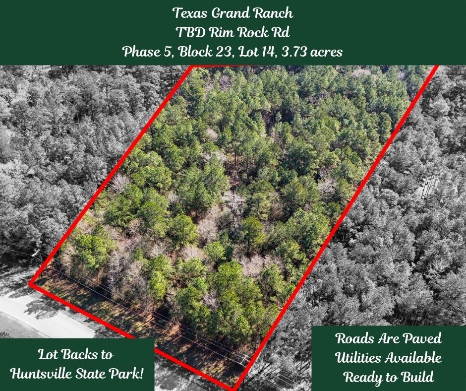 5-23-14 Rim Rock Road Huntsville, TX 77340 - Photo 3 of 45 Discover the endless possibilities for your ideal homesite amidst the towering trees.