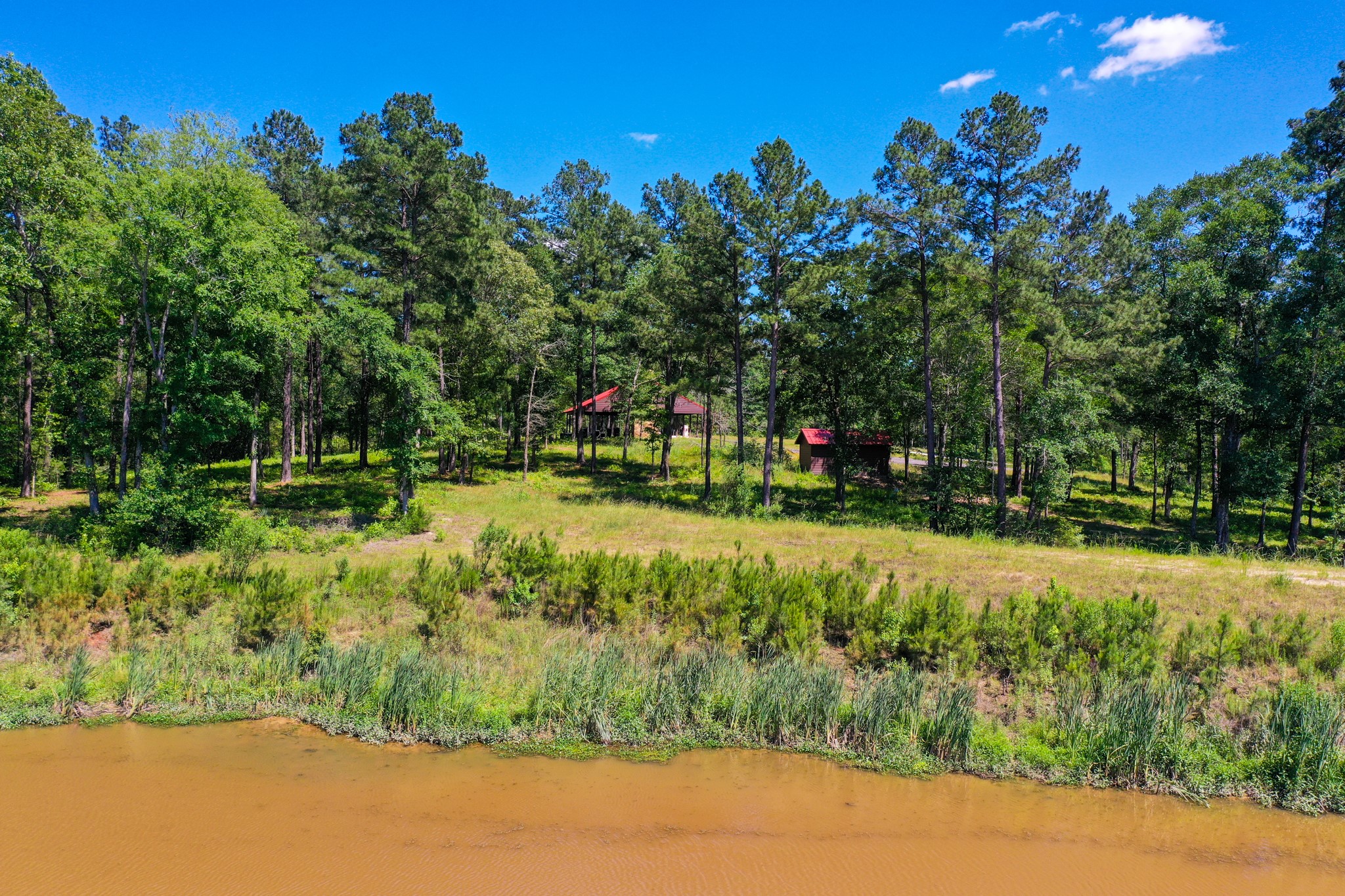 5-23-14 Rim Rock Road Huntsville, TX 77340 - Photo 32 of 45 Another view of Dedication Trail Park, showcasing the scenic trails that wind through the community, offering a peaceful retreat.