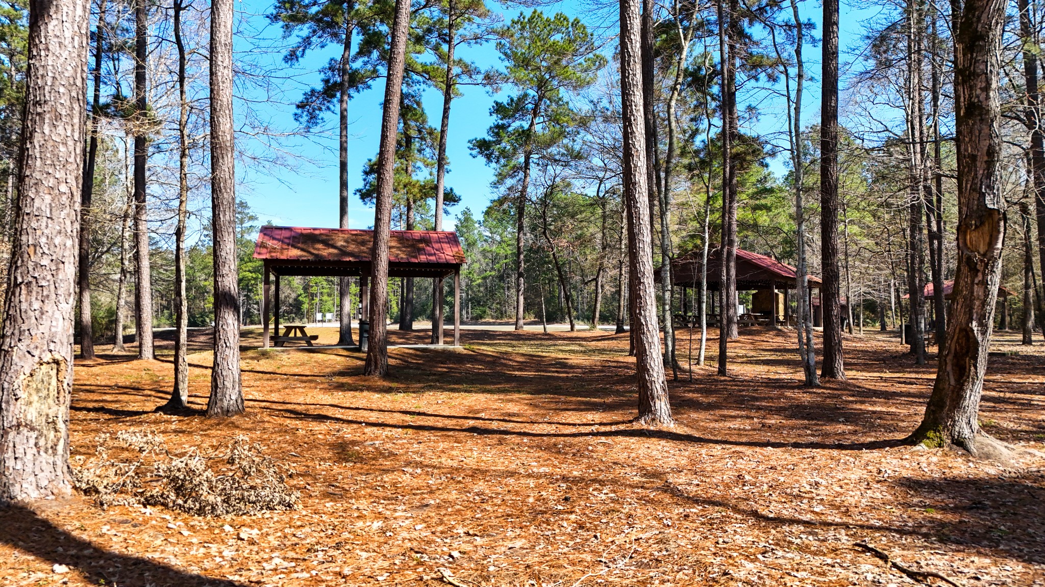 5-23-14 Rim Rock Road Huntsville, TX 77340 - Photo 41 of 45 Enjoy the beauty of the nearby park areas, offering expansive green spaces and scenic views for all your outdoor adventures.