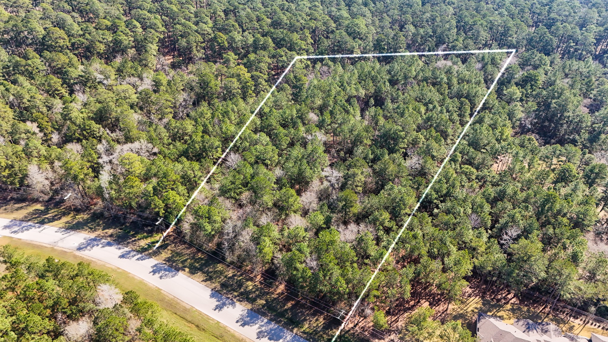 5-23-14 Rim Rock Road Huntsville, TX 77340 - Photo 8 of 45 Discover the endless possibilities for your ideal homesite amidst the towering trees.