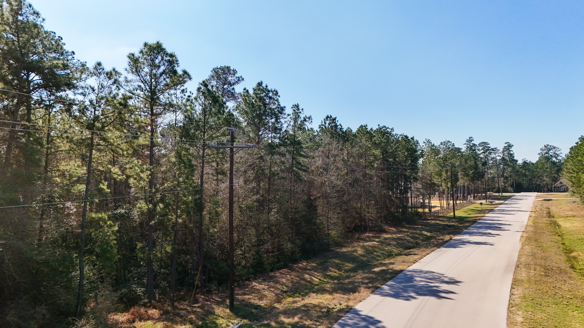 5-23-14 Rim Rock Road Huntsville, TX 77340 - Photo 10 of 45 A street view of this magnificent lot, showcasing the lush, mature trees that offer privacy and tranquility.
