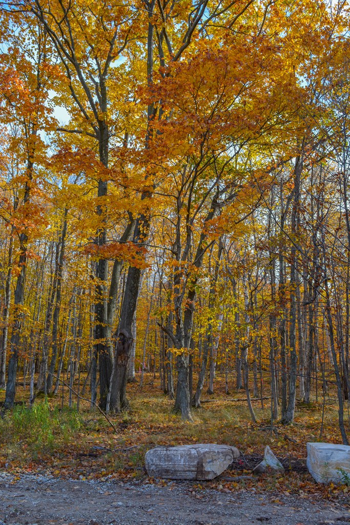 Bluff Lane Fish Creek, WI 54212 - Photo 9 of 9