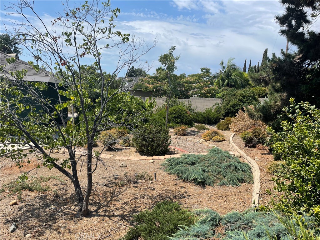 2233 East Everett Place Orange, CA 92867 - Photo 35 of 40 a view of a tree with a yard