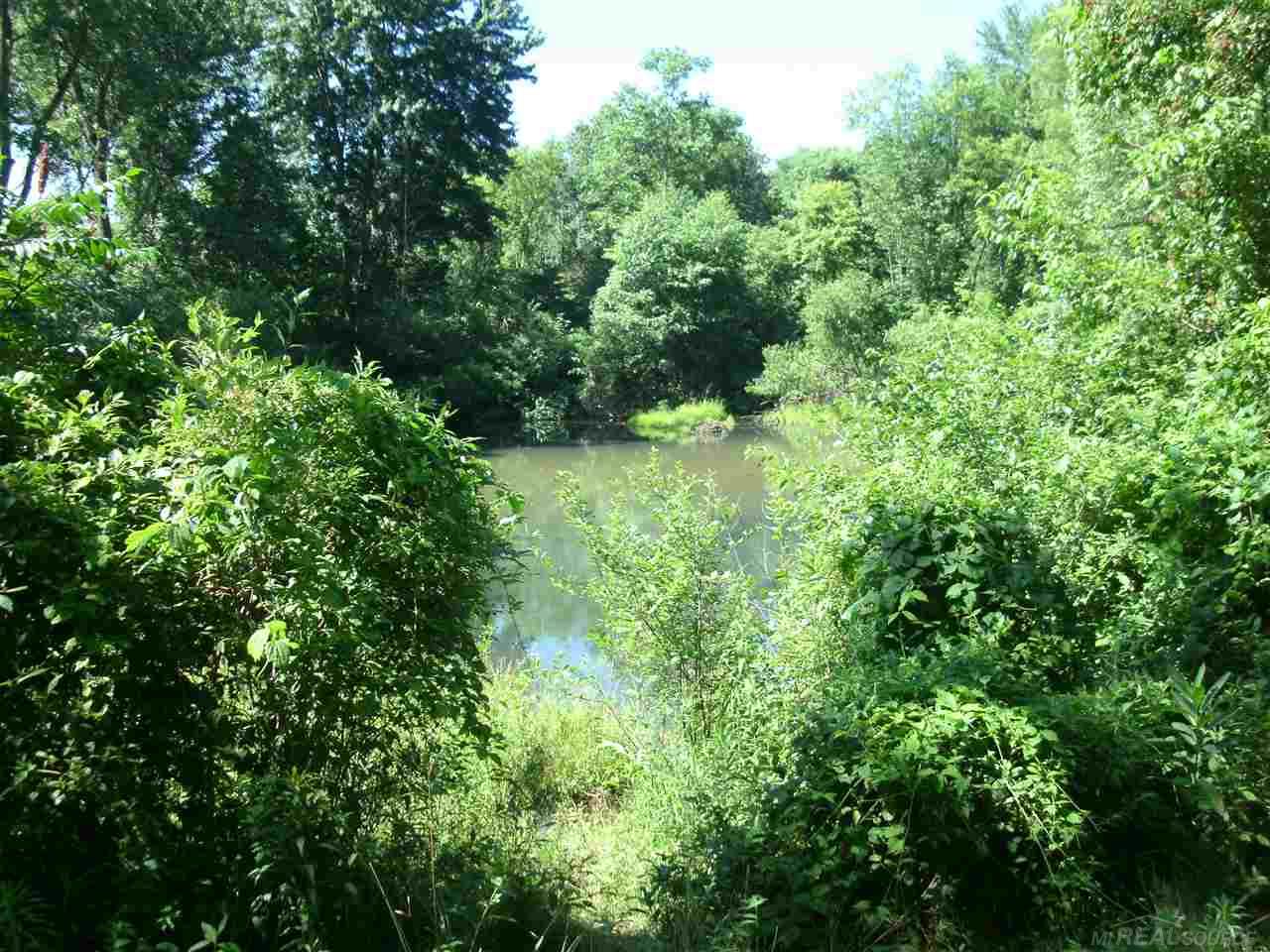 0 North Wilder Road Lapeer, MI 48446 - Photo 11 of 12
