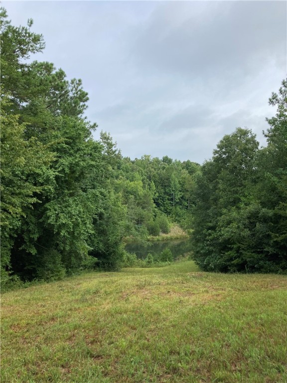 73-ac Todd Quarter Road Waterloo, SC 29384 - Photo 11 of 18