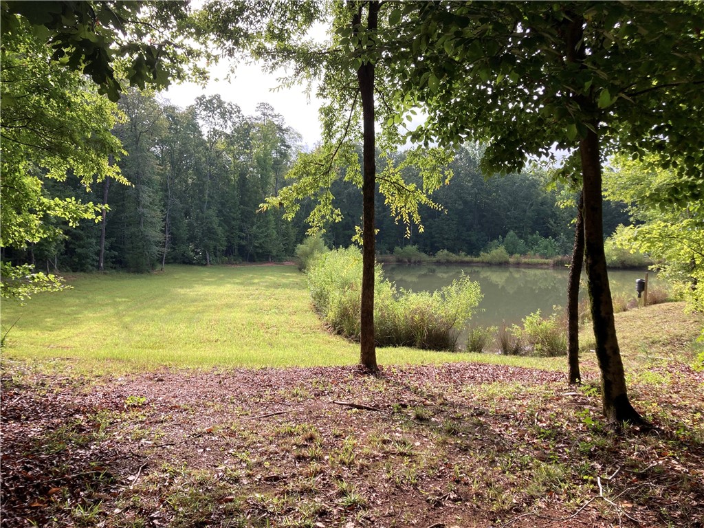 73-ac Todd Quarter Road Waterloo, SC 29384 - Photo 15 of 18