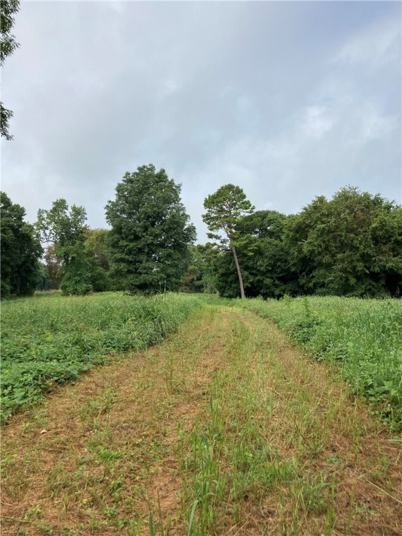 73-ac Todd Quarter Road Waterloo, SC 29384 - Photo 2 of 18