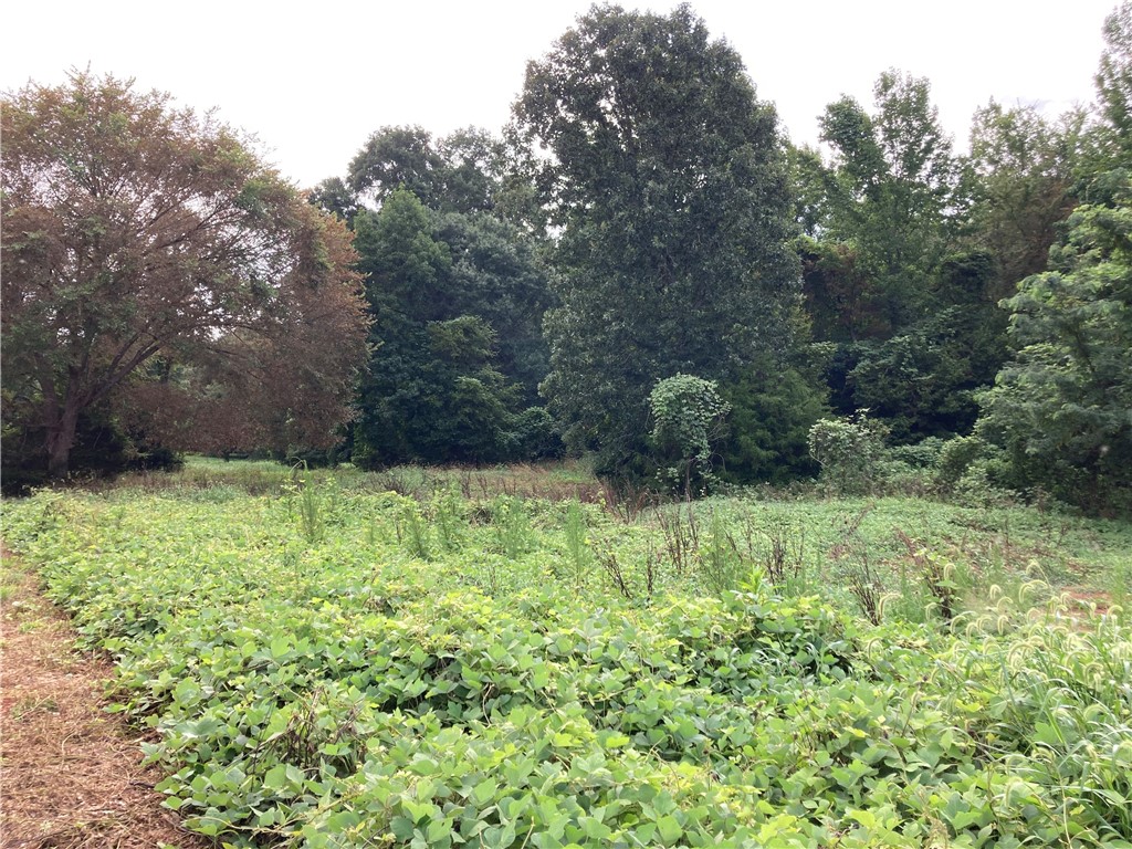 73-ac Todd Quarter Road Waterloo, SC 29384 - Photo 5 of 18