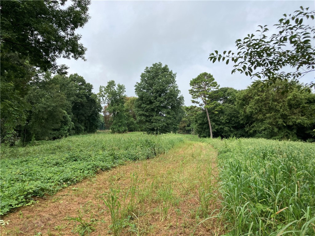 73-ac Todd Quarter Road Waterloo, SC 29384 - Photo 6 of 18