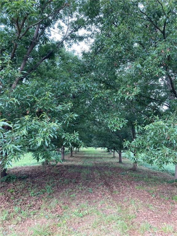 73-ac Todd Quarter Road Waterloo, SC 29384 - Photo 7 of 18
