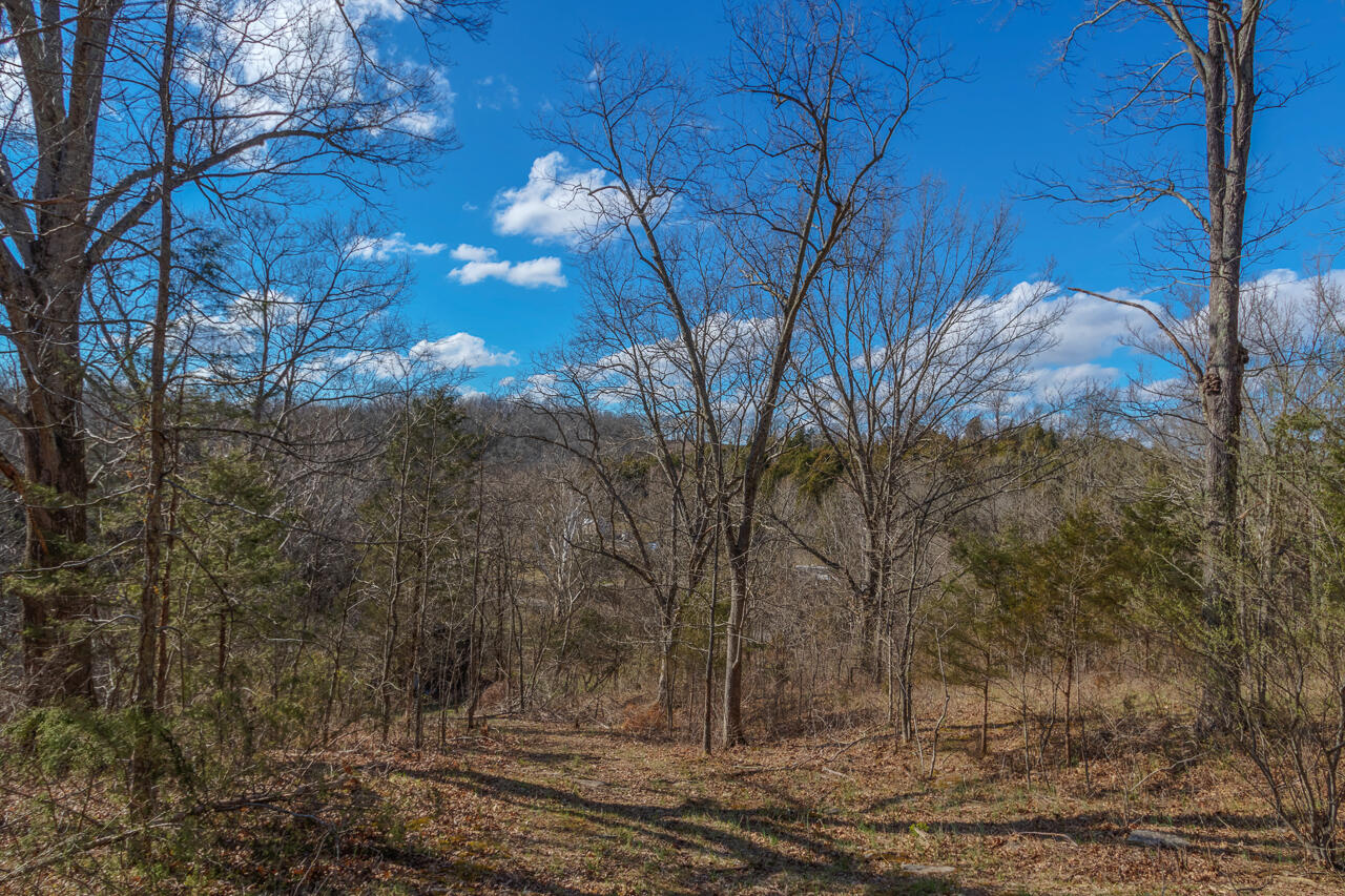 1 Camp Pleasant Road Frankfort, KY 40601 - Photo 34 of 67 067-2918-Cedar-Rd-Stamping-Ground-KY-403