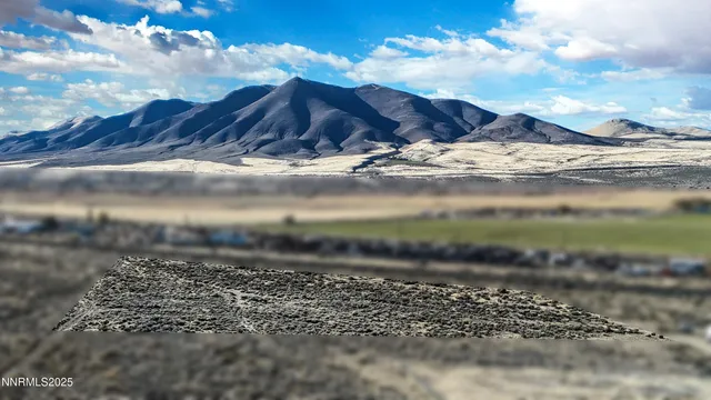 a close up of a plant