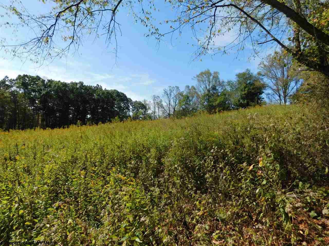 701 Ketchum Road Philippi, WV 26416 - Photo 19 of 20 Gallery Image 19