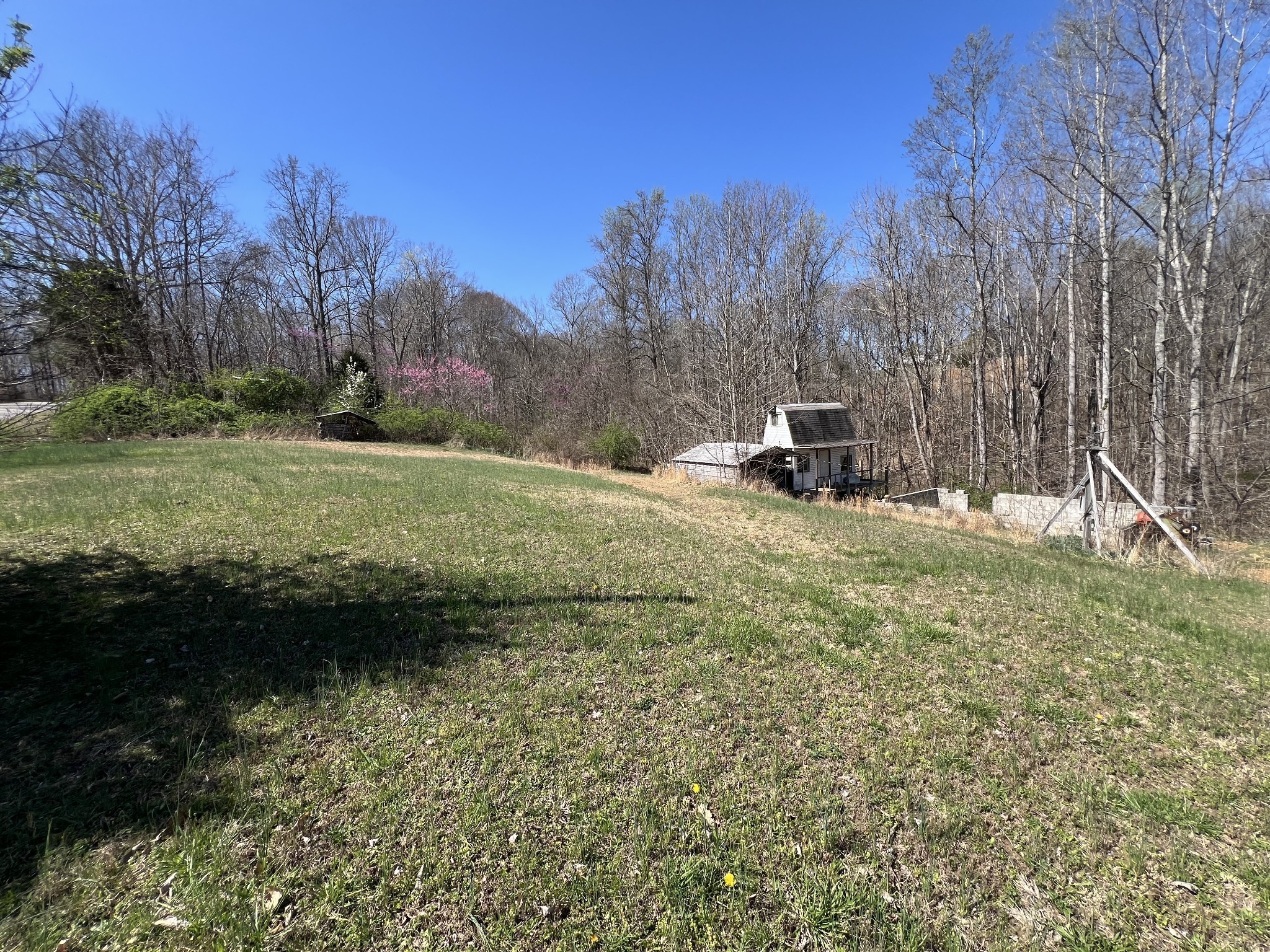 4200 Shiloh Canaan Road Palmyra, TN 37142 - Photo 12 of 14 a view of outdoor space with green field and trees