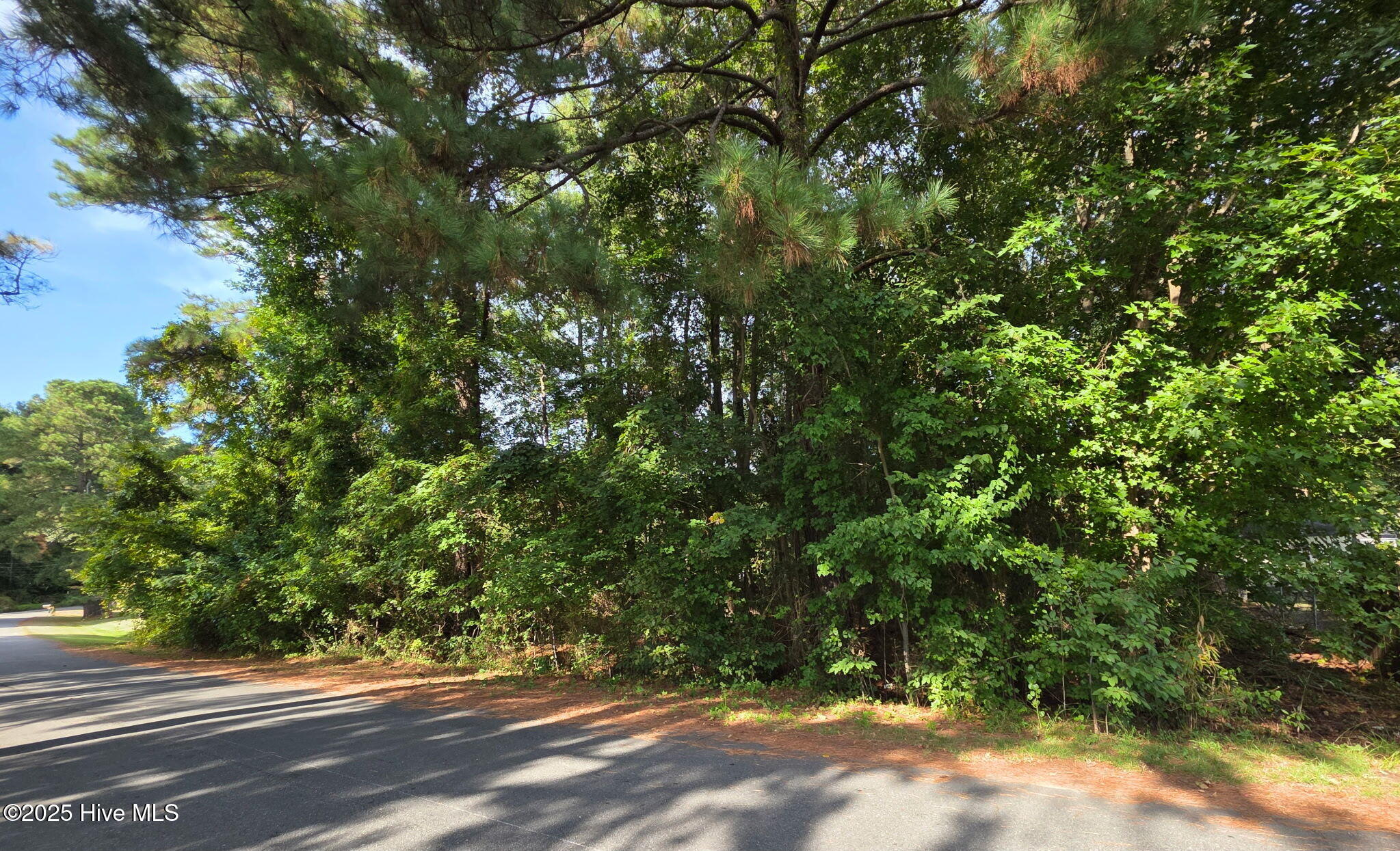 0 Niblick Road Grifton, NC 28530 - Photo 3 of 3 image62865