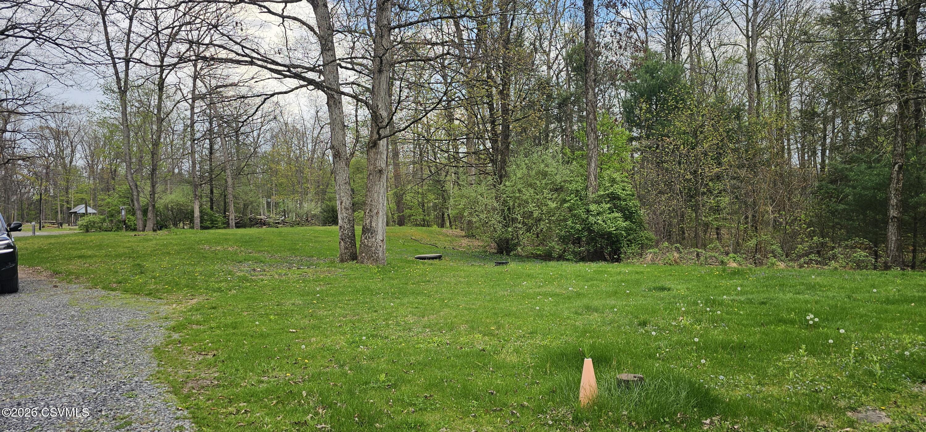 878 Paddy Mountain Road Millmont, PA 17845 - Photo 11 of 22