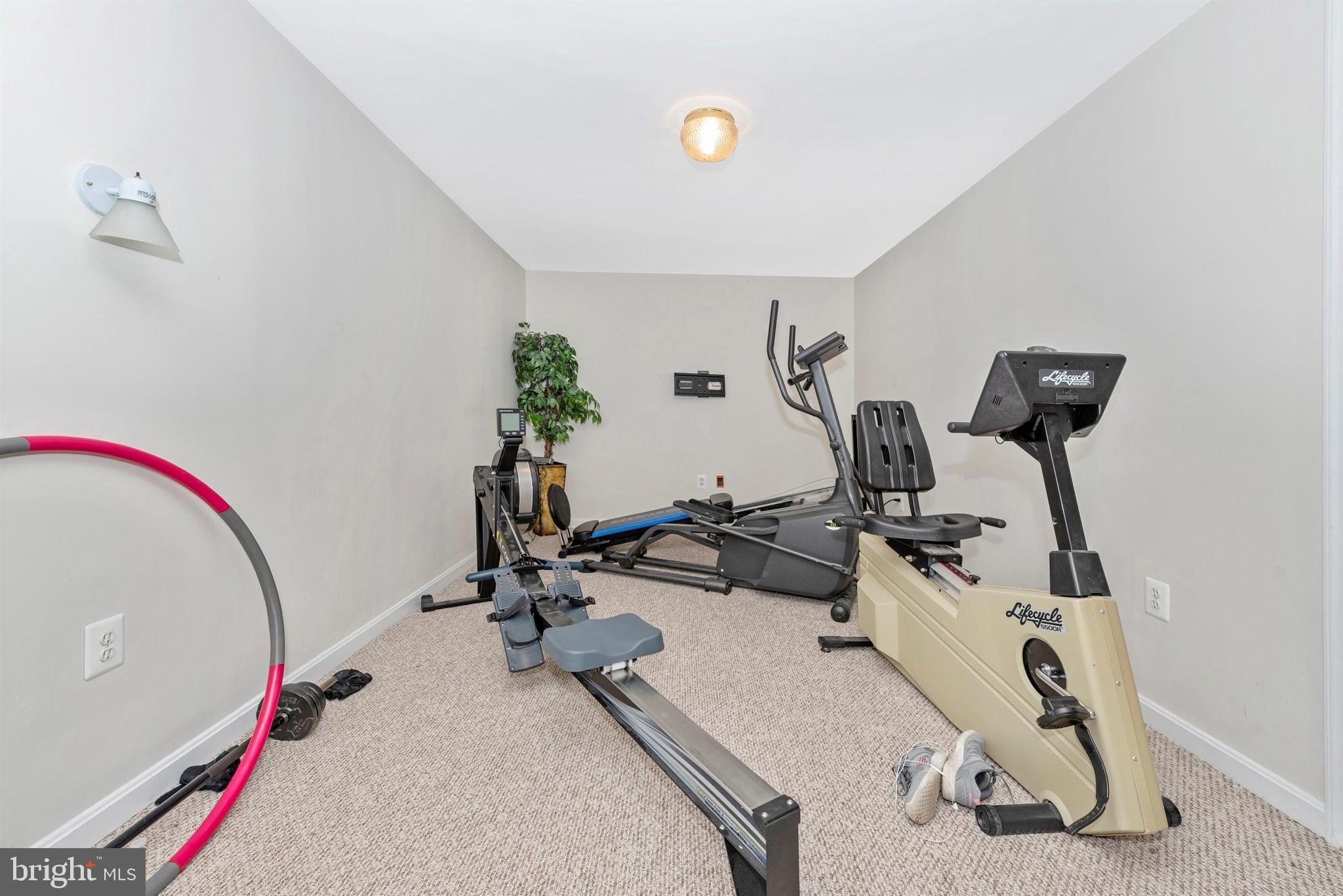 6140 Bartonsville Road Frederick, MD 21704 - Photo 57 of 60 Lower level gym