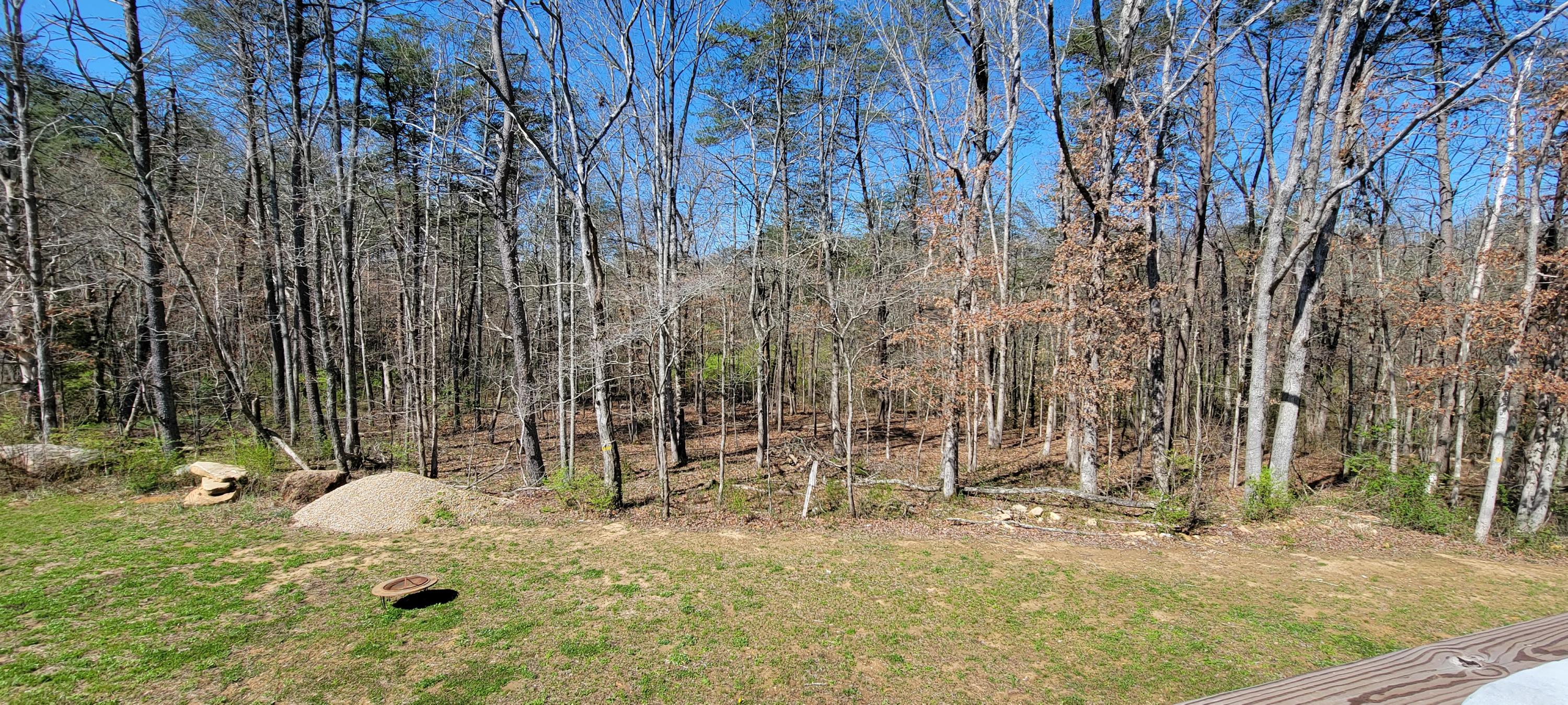455 Deerfield Road Crossville, TN 38555 - Photo 18 of 18 20210402_104131