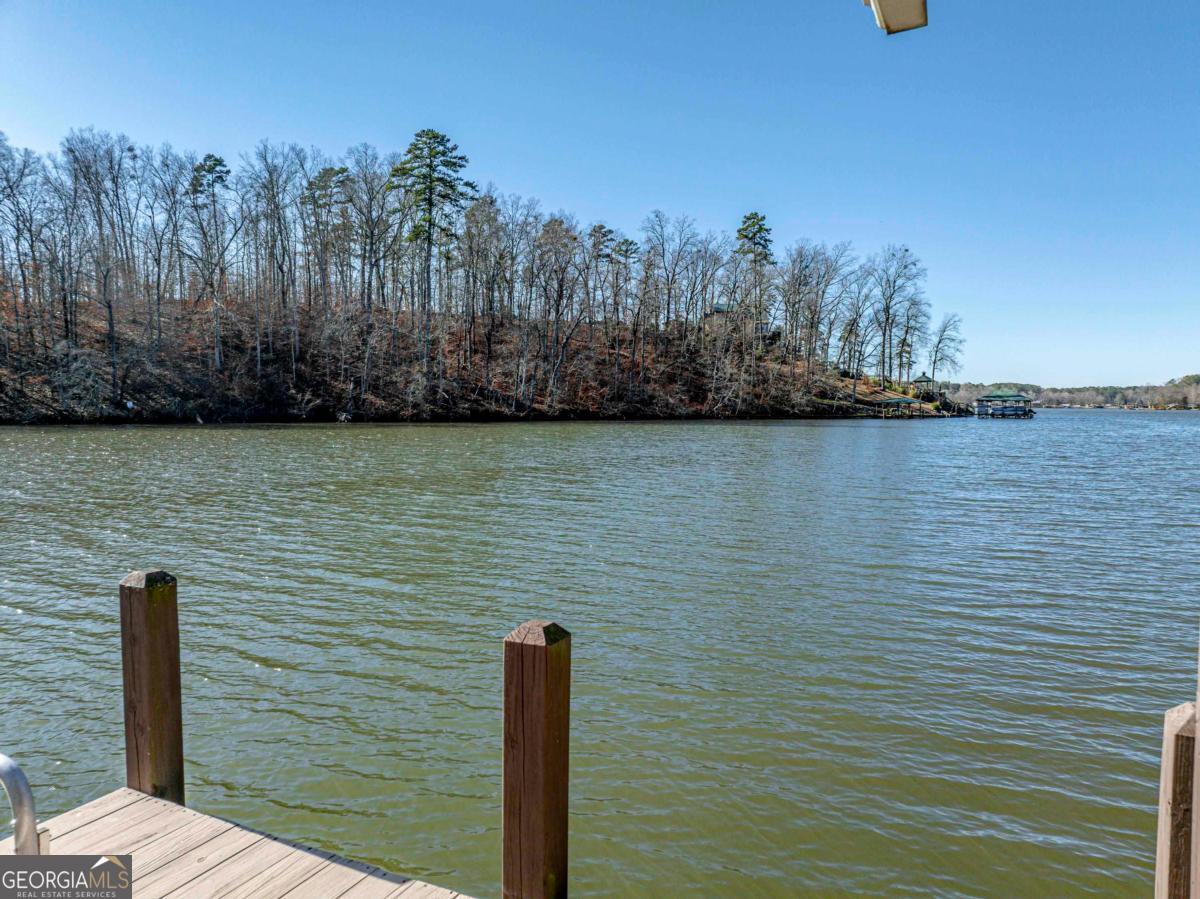219 Hickory Pass Sparta, GA 31087 - Photo 55 of 62 a view of lake