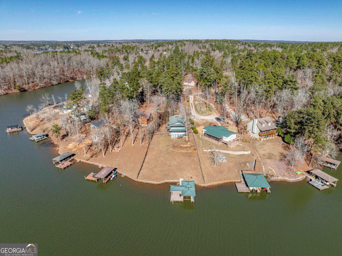 219 Hickory Pass Sparta, GA 31087 - Photo 58 of 62