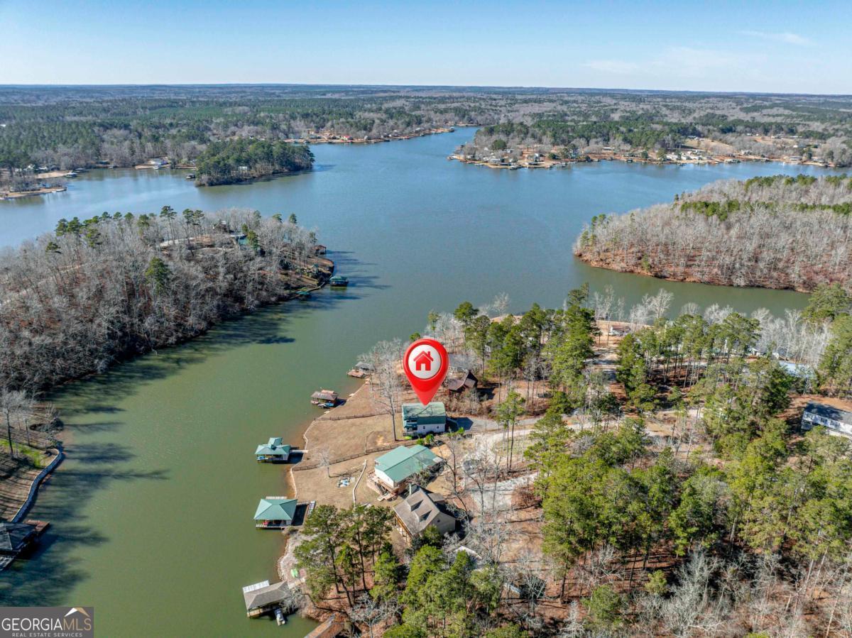 219 Hickory Pass Sparta, GA 31087 - Photo 62 of 62 an aerial view of residential building with outdoor space and lake view