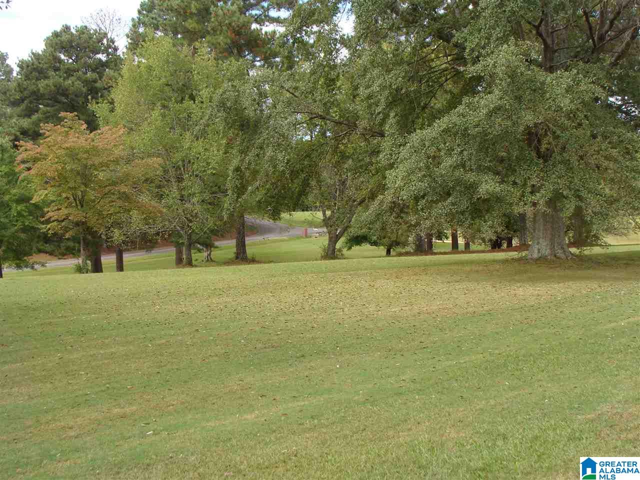9179 Miller Road Warrior, AL 35180 - Photo 23 of 23