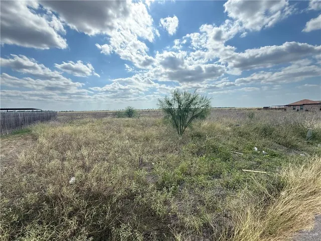 a view of a lake in middle of forest