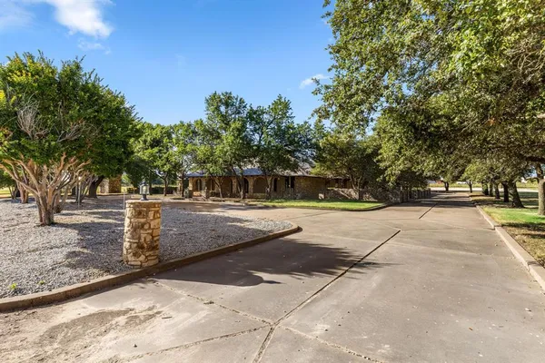 a view of a yard with plants