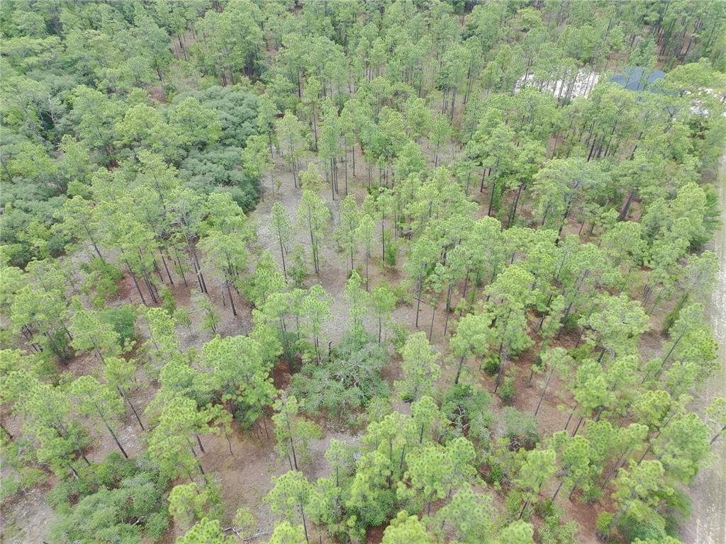 Southwest Buena Vista Road Dunnellon, FL 34431 - Photo 5 of 8