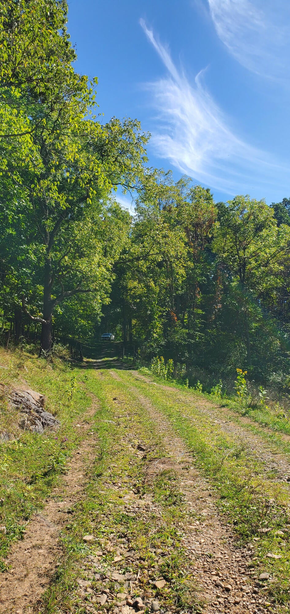 Davis Stuart Road Lewisburg, WV 24901 - Photo 60 of 72 Gallery Image 60