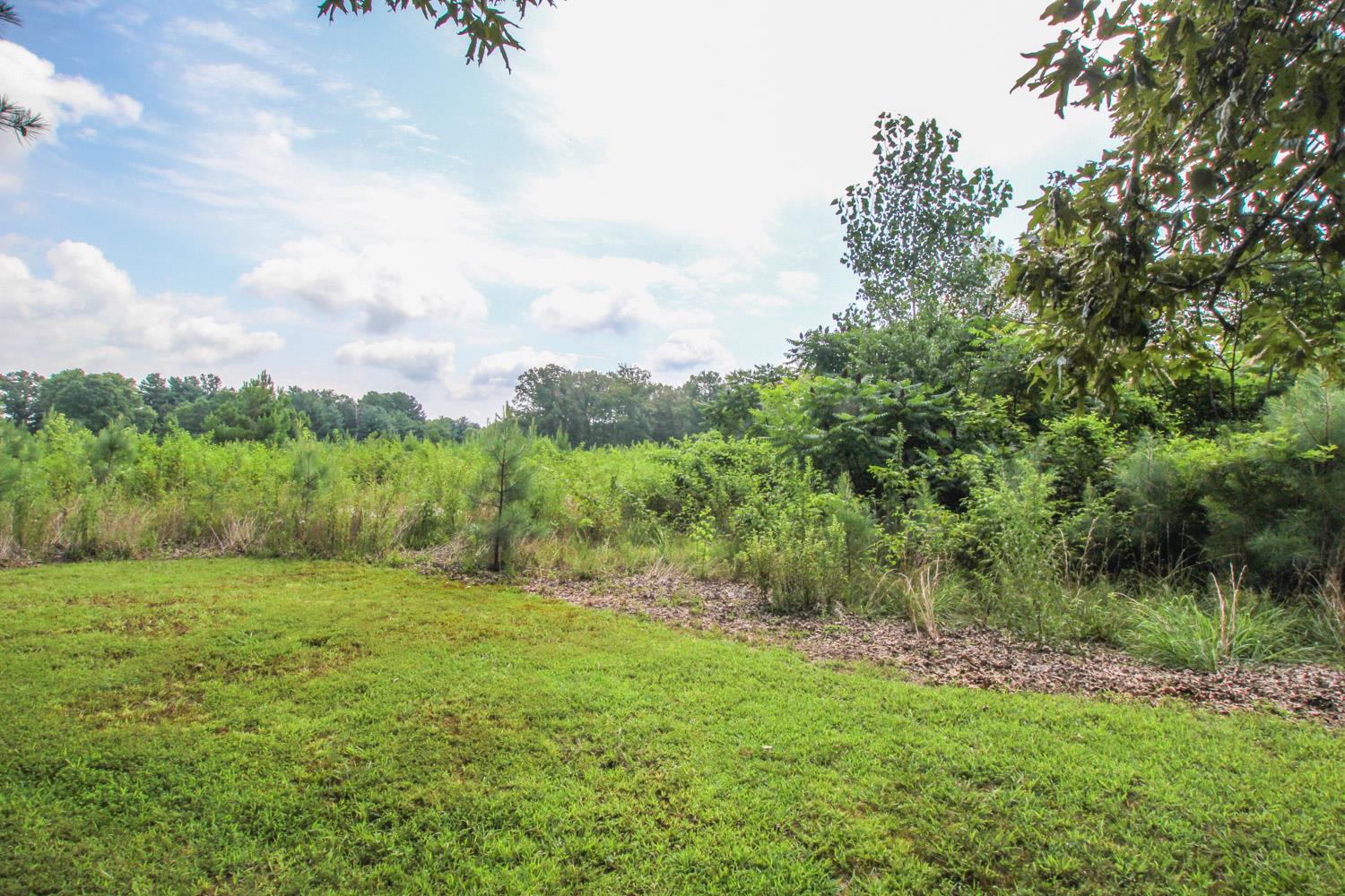 393 Cat Creek Road Manchester, TN 37355 - Photo 23 of 24 Gallery Image 23