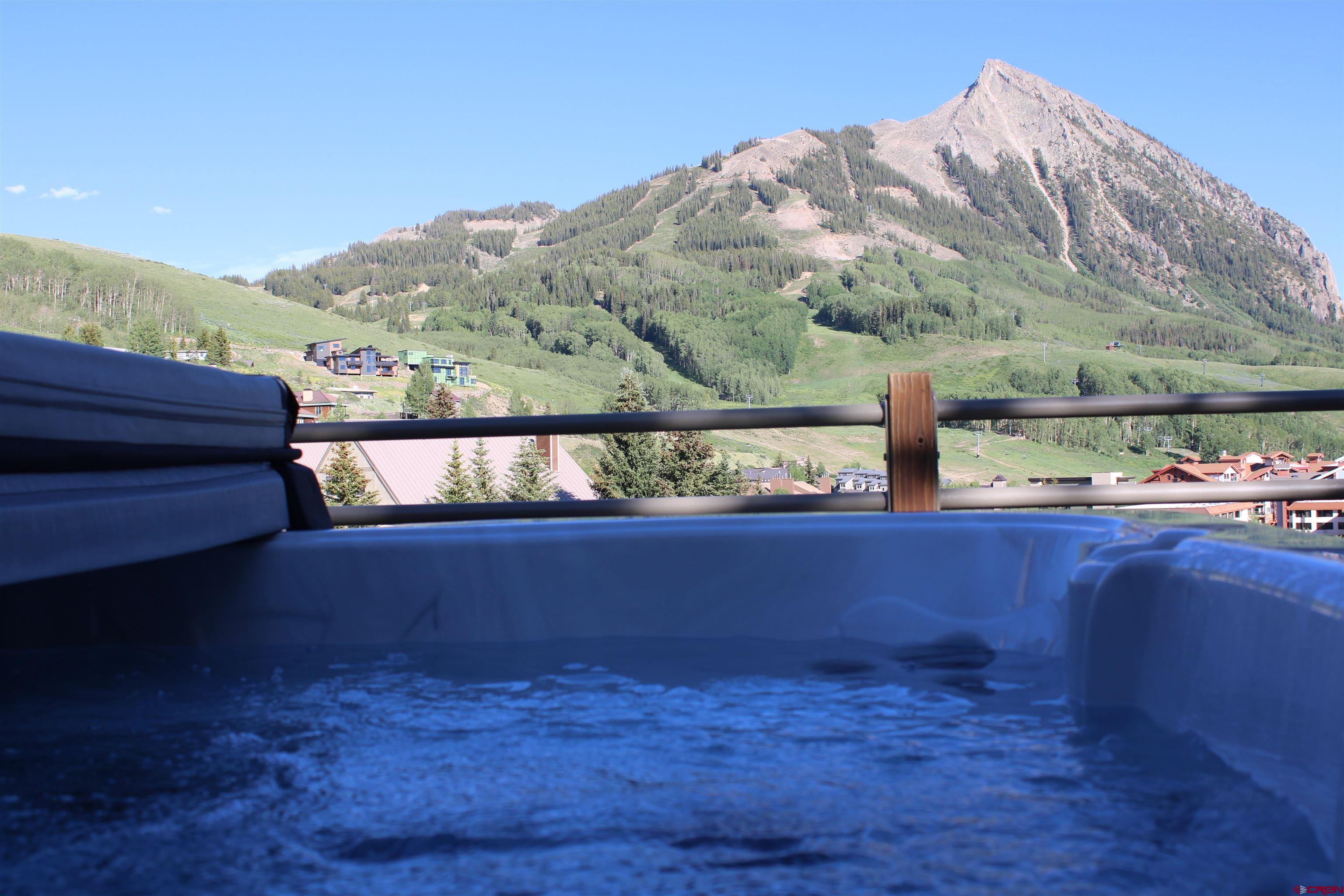 710 Gothic Road, Unit 3 Crested Butte, CO 81225 - Photo 2 of 30
