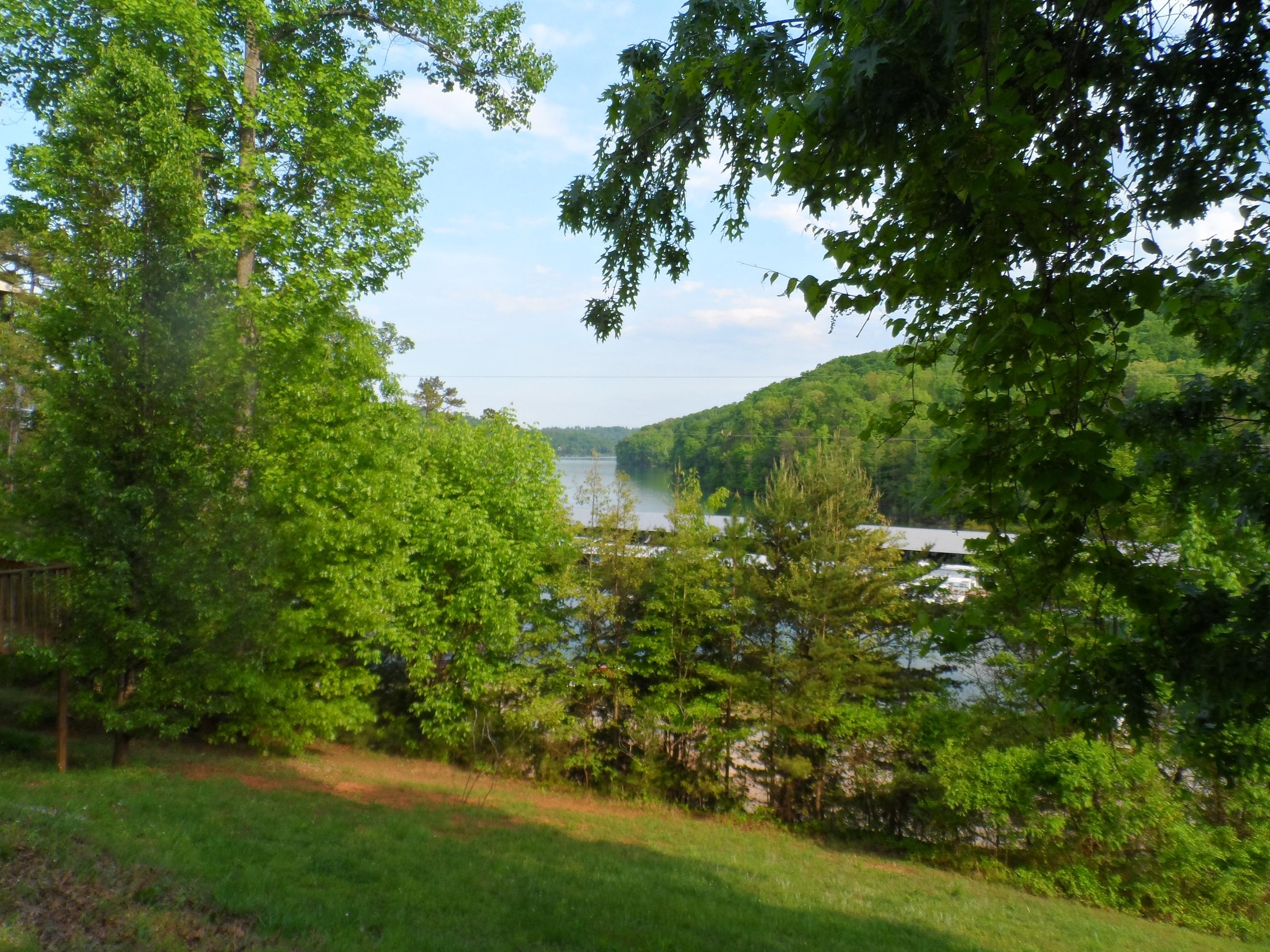 156 Mariner Point Road La Follette, TN 37766 - Photo 24 of 31 houses 062