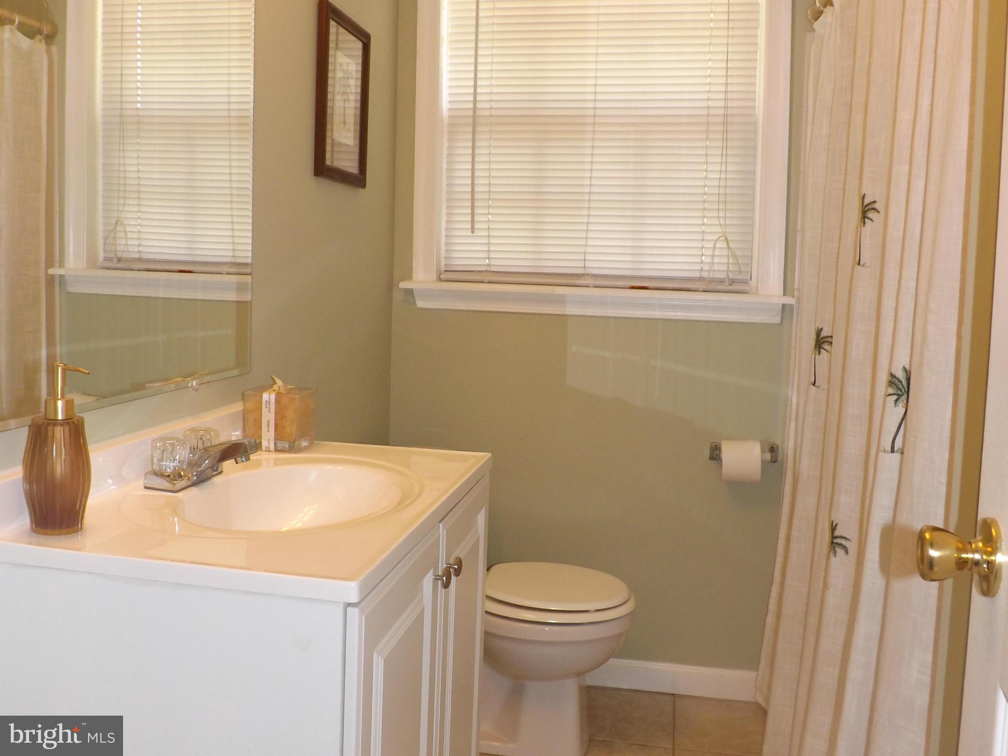 123 Allgate Road Owings Mills, MD 21117 - Photo 11 of 21 Bath