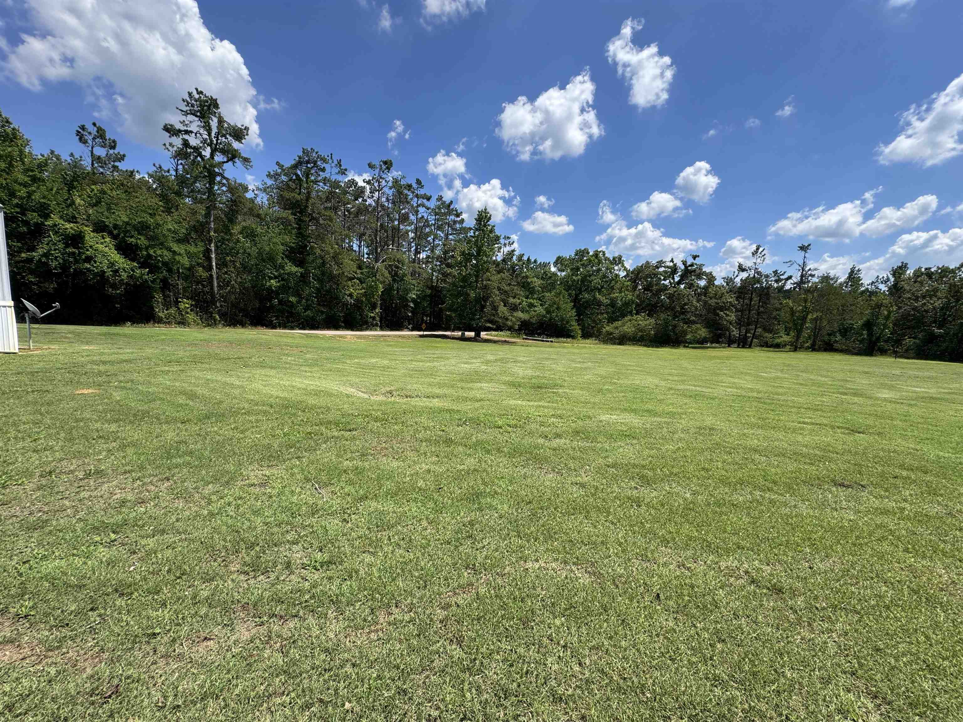 2511 Watkins Road Michie, TN 38357 - Photo 39 of 40 Expansive green lawn surrounded by mature trees