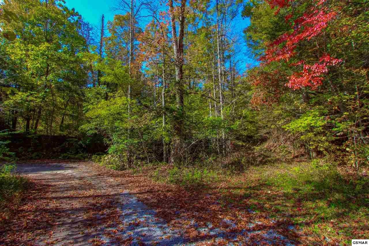 1 Bogard Crk Road Cosby, TN 37722 - Photo 25 of 28 Gallery Image 25