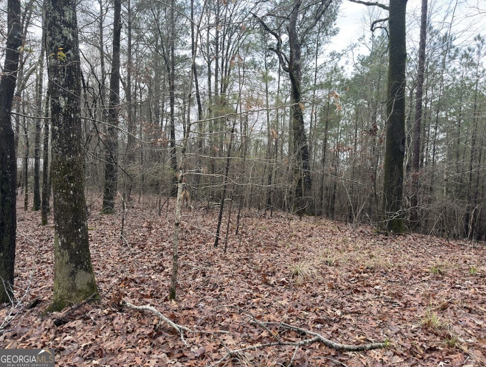 0 Otts Road Fayette, AL 35555 - Photo 5 of 17 a view of a yard with trees