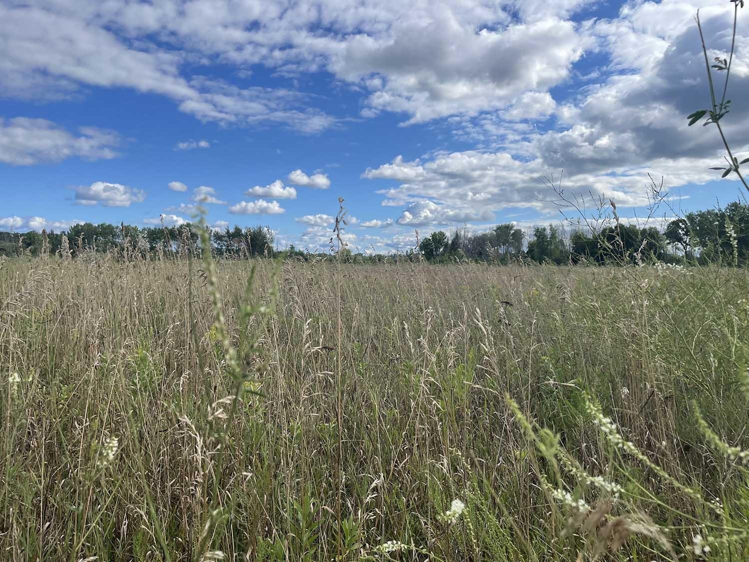 Summerset Circle, Unit 5 Sturgeon Bay, WI 54235 - Photo 3 of 8