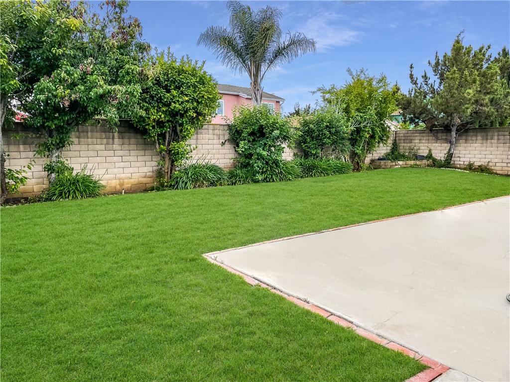598 Armitos Place Diamond Bar, CA 91765 - Photo 18 of 26 a view of a backyard with plants and large trees