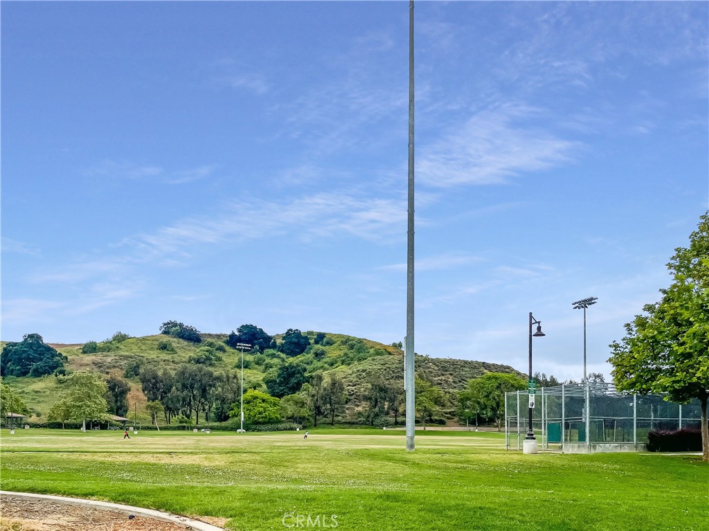 598 Armitos Place Diamond Bar, CA 91765 - Photo 24 of 26 a view of a garden with a tree in the grass