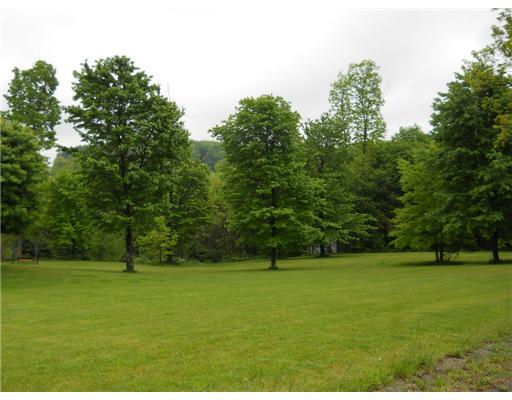301 Harbison Road Sarver, PA 16055 - Photo 3 of 18 Land. the tranquillity of the side yard...