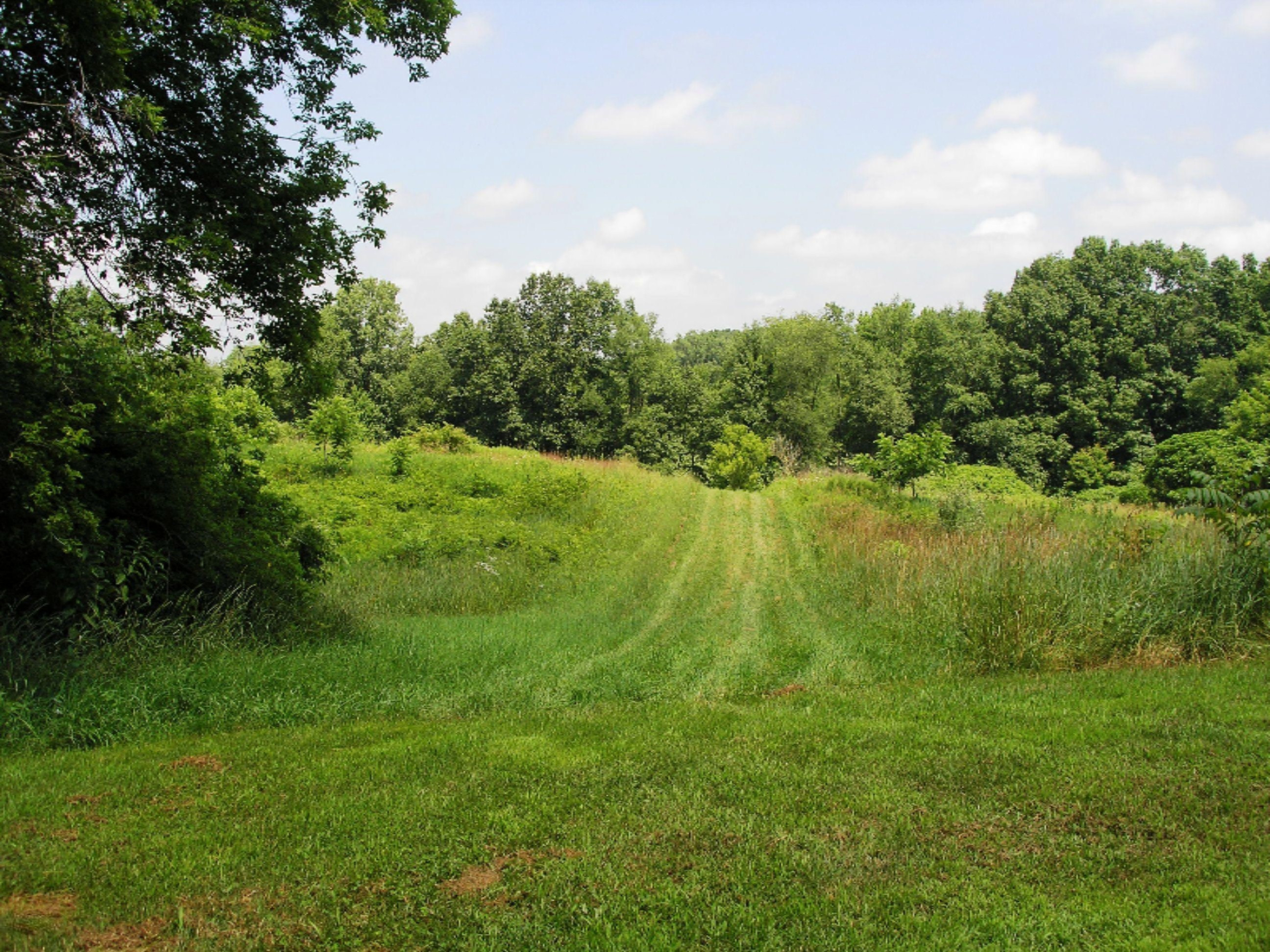 10650 Dutch Settlement Road Marcellus, MI 49067 - Photo 13 of 52 10650 Dutch Settlement 013