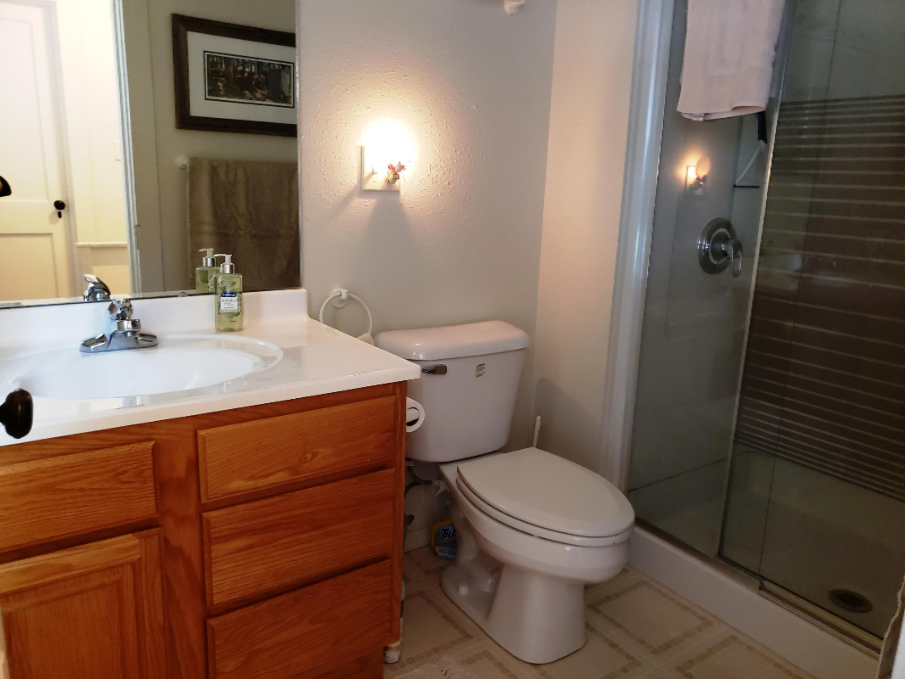 10650 Dutch Settlement Road Marcellus, MI 49067 - Photo 34 of 52 20190710_130630
